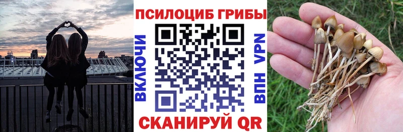 Псилоцибиновые грибы мицелий ссылка на мегу ССЫЛКА Орск