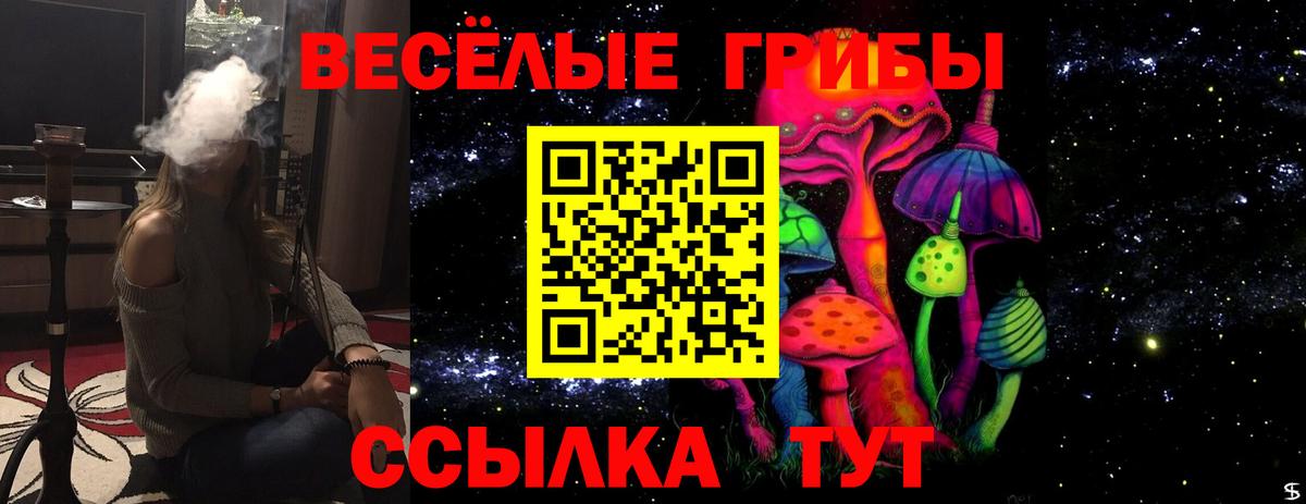 Псилоцибиновые грибы GOLDEN TEACHER Орск